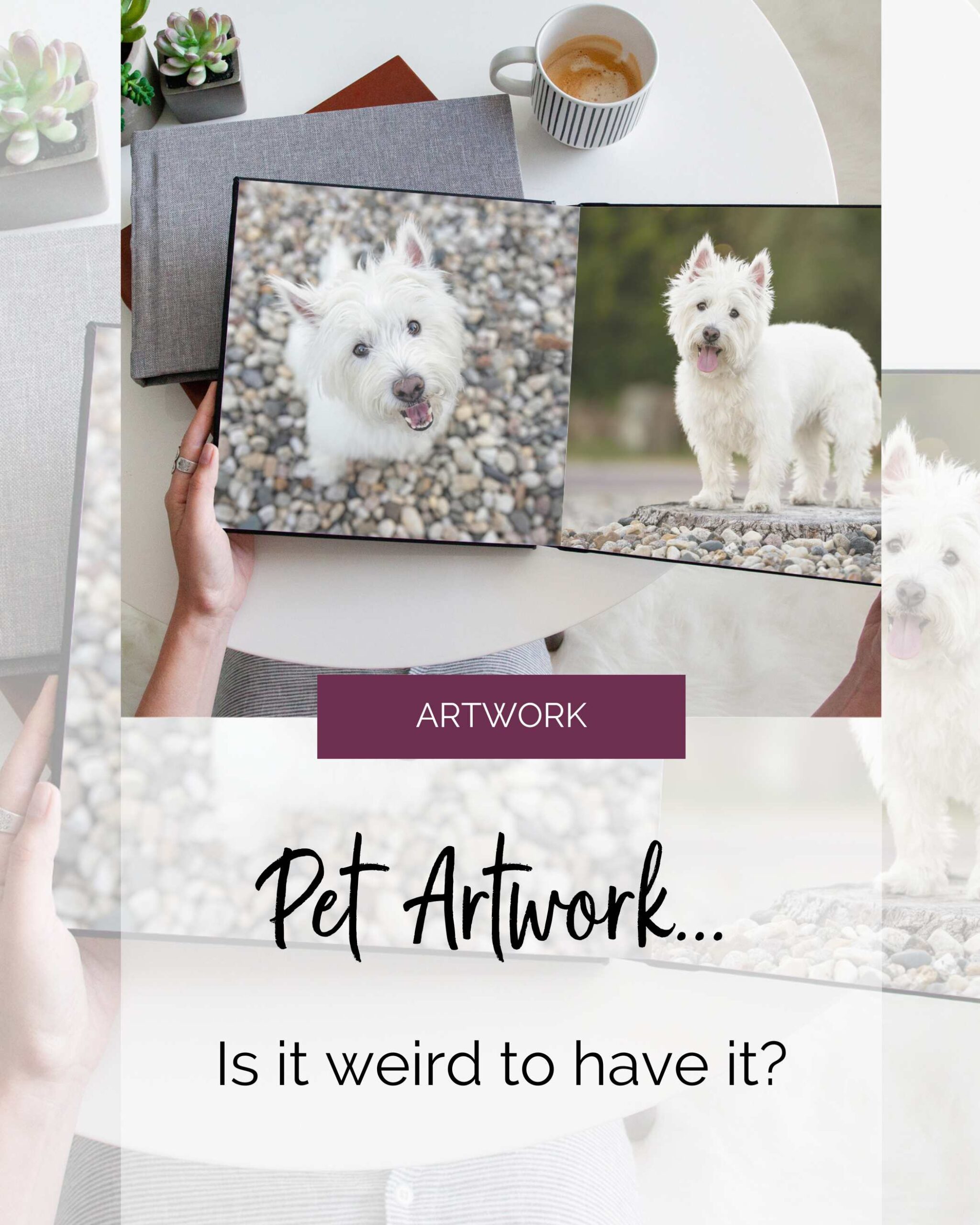 woman looking at an album of a small white dog