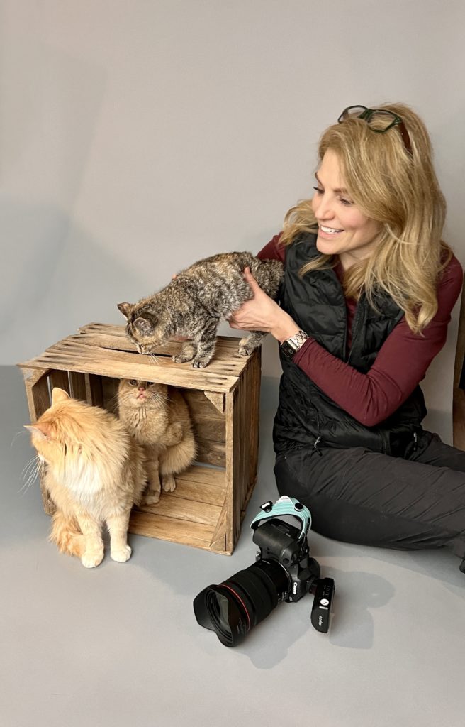 woman with 3 cats and a camera