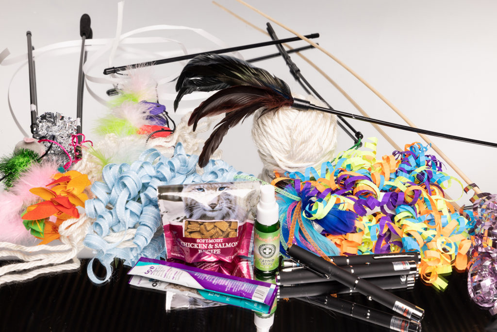 many cat toys and cat food