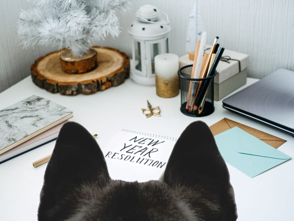 picture of a dog looking at a desk with items on, a pad saying new year resolution
