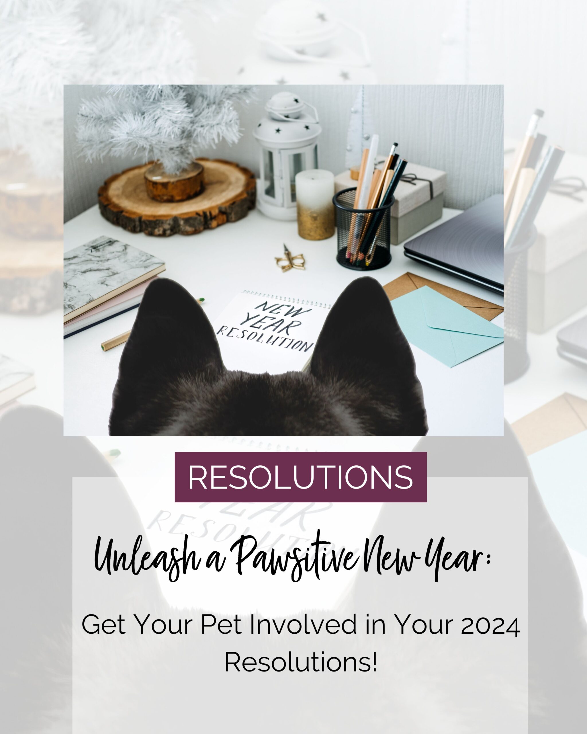picture of a dog's ears looking at a desk. Text talking about new year's resolutions